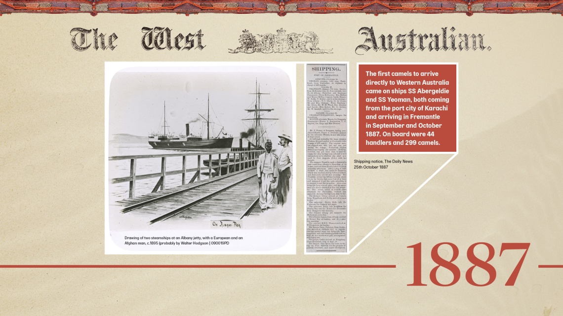 Sheiks Fakes and Cameleers timeline