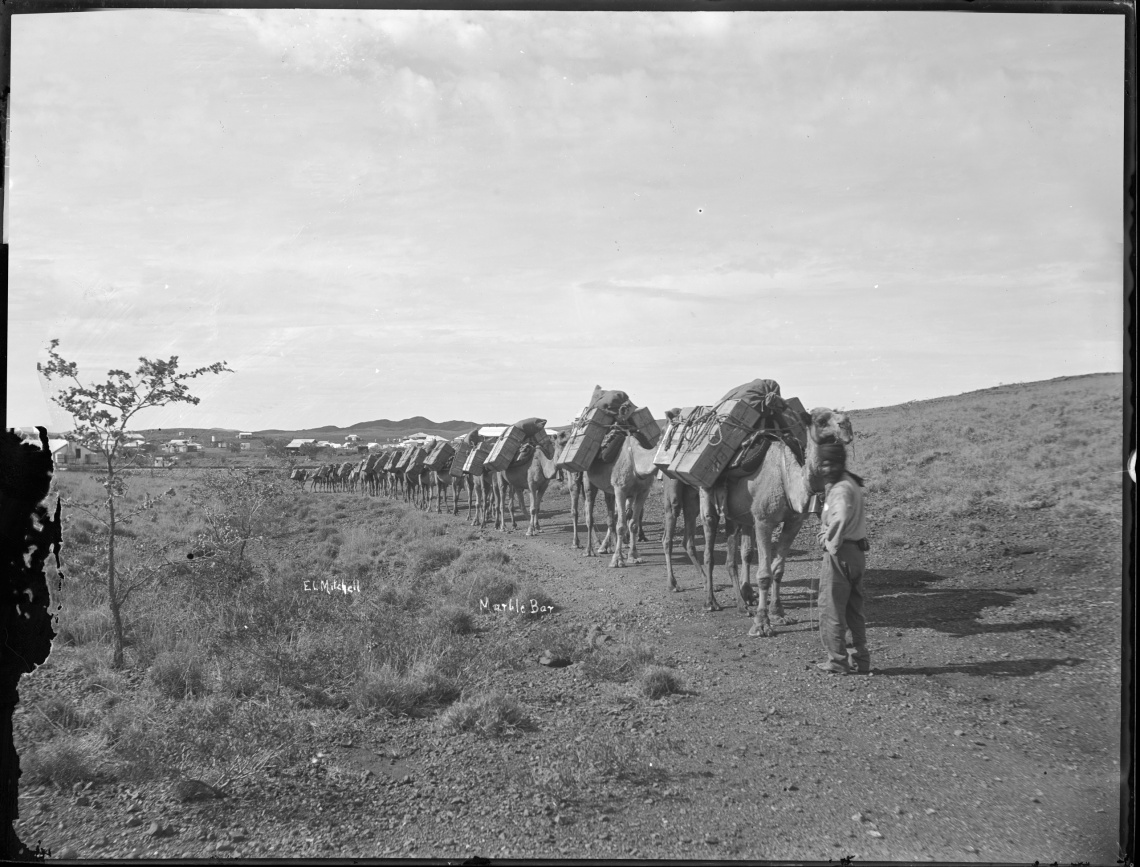 Camel team leaving Marble Bar for Nullagine
