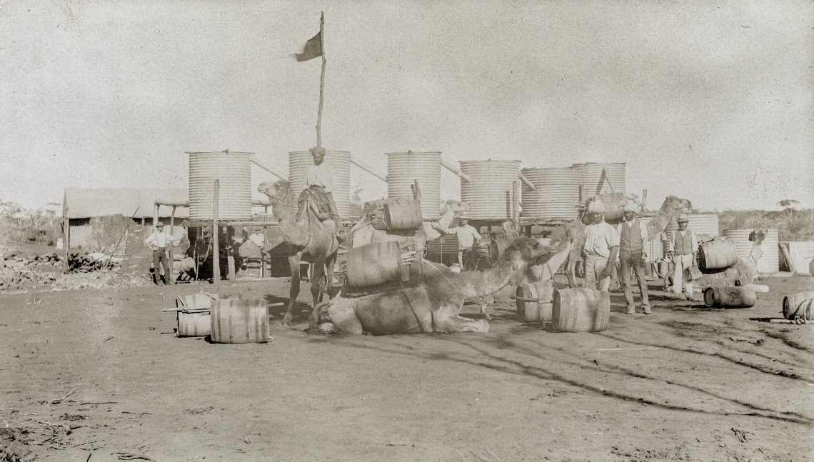 Cameleers with their camels water station Goldfields c1900