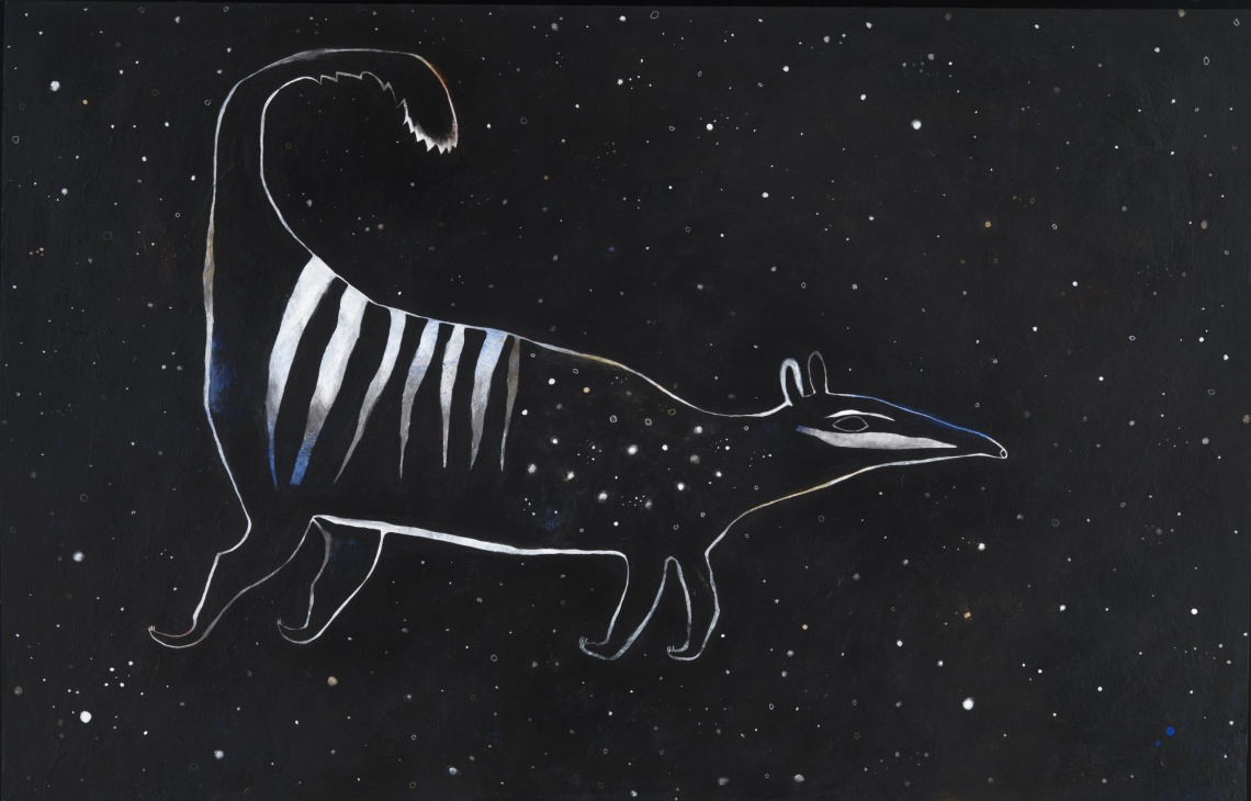 Constellation left hand side original illustration by Moira Court for the book My Superhero Numbat with starry back gorund