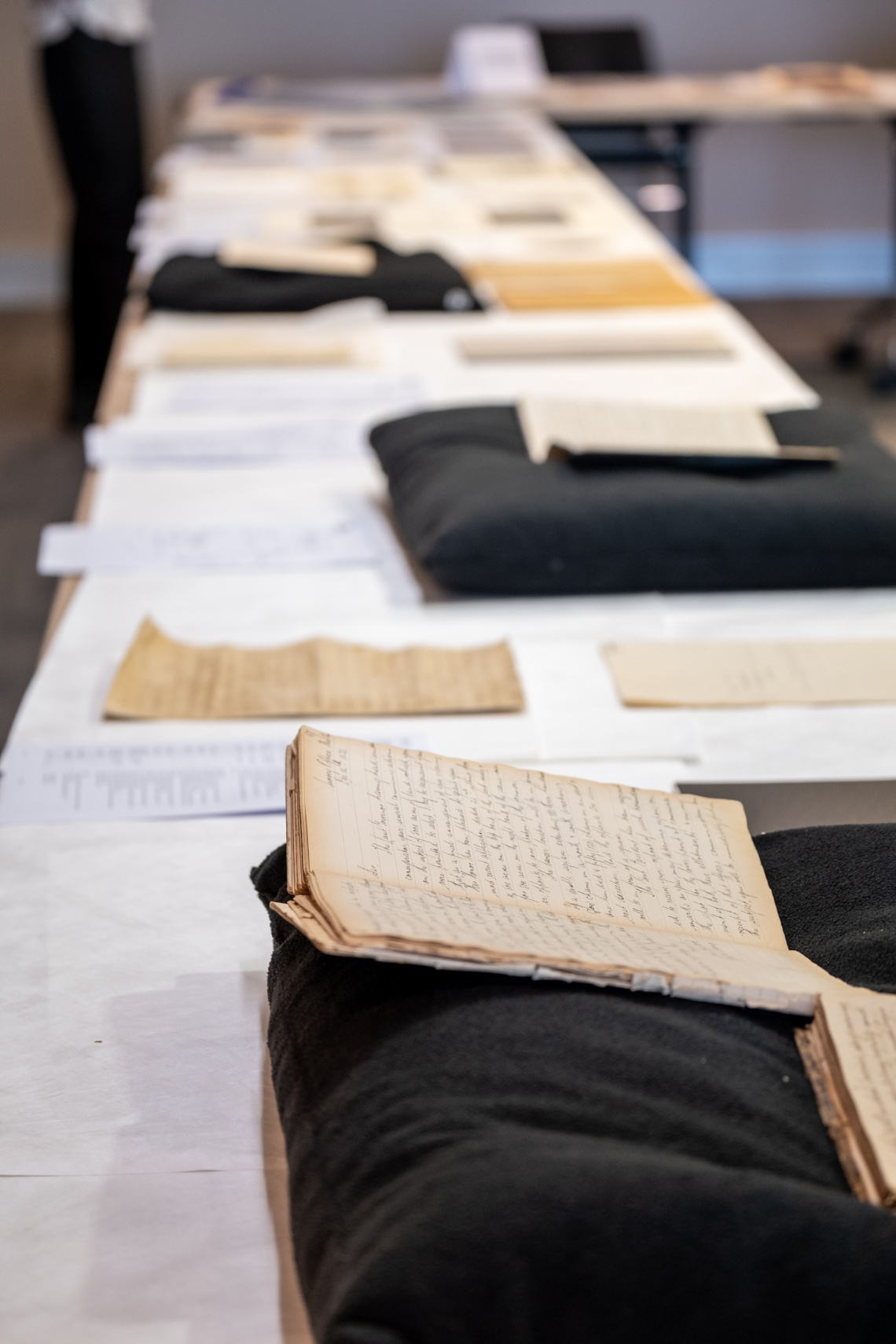 Collection items on display during the Turner family meeting