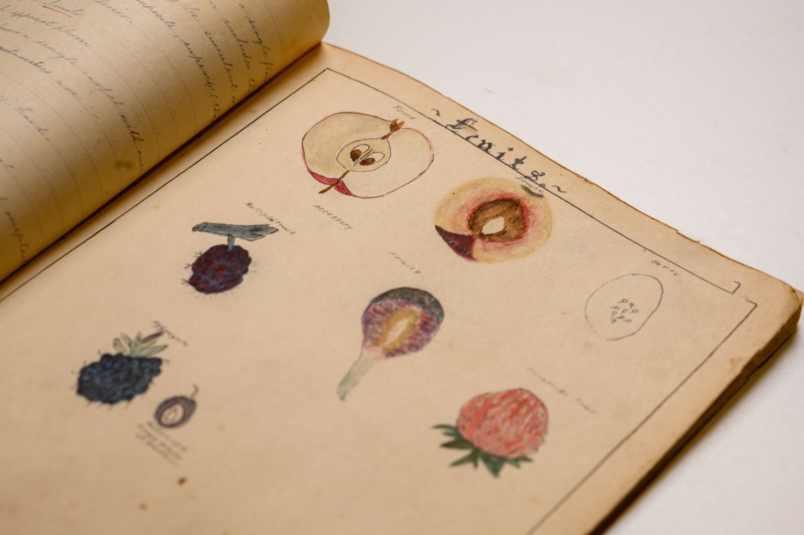 A page from Lucy Serventys notebooks