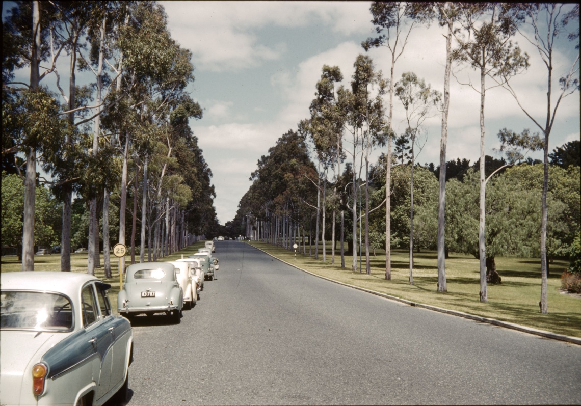 Fraser Avenue Kings Park Western Australia ca 1959