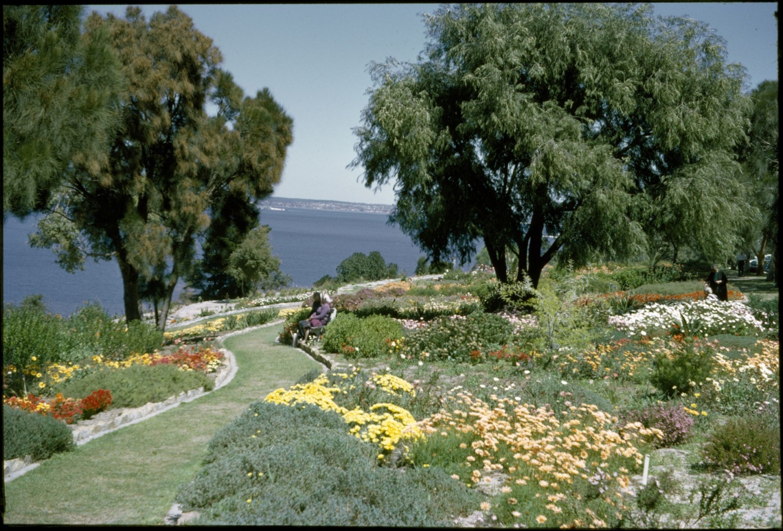 Botanic Garden Kings Park September 1966
