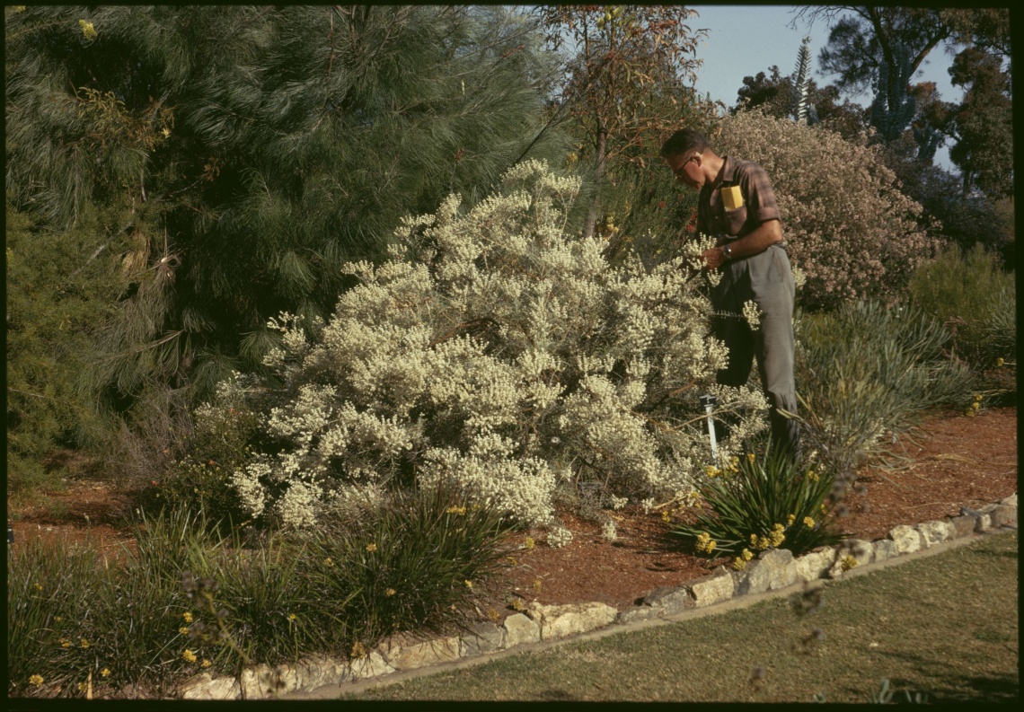 Russell Blake in the Botanic Garden Kings Park Western Australia ca 1965-1984