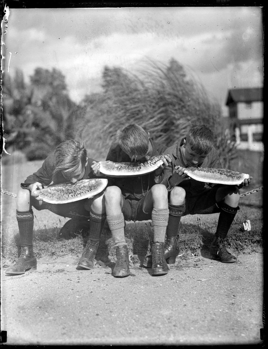 Boys eating watermelon 1929