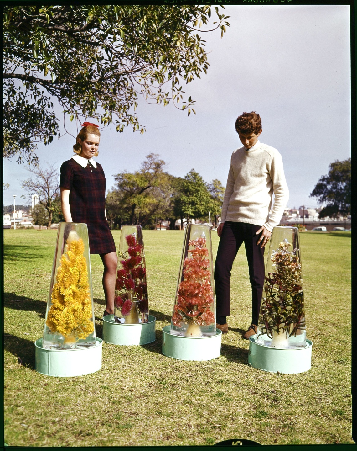 Woman and man inspecting wild flower displays at Kings Park Perth ca 1962