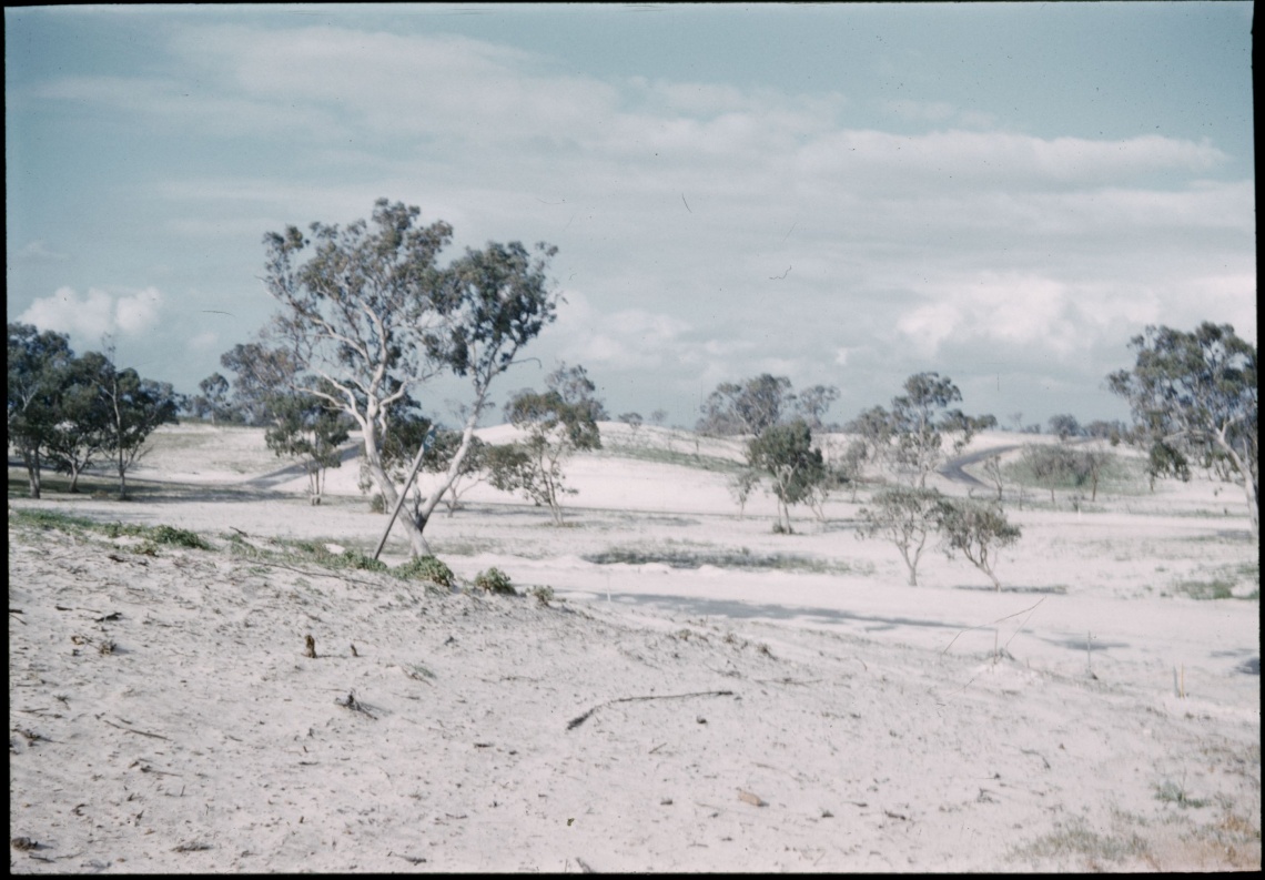 Sand dunes the site of the Games Village to be built for the 1962 Commonwealth Games City Beach 10 September 1961