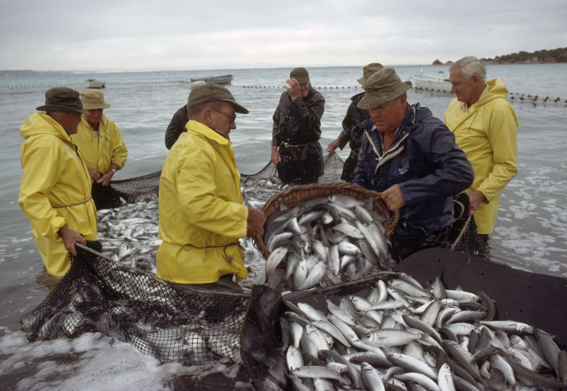 A group of men in raincoats and waders use a basket to load fish from a large net onto a vessel