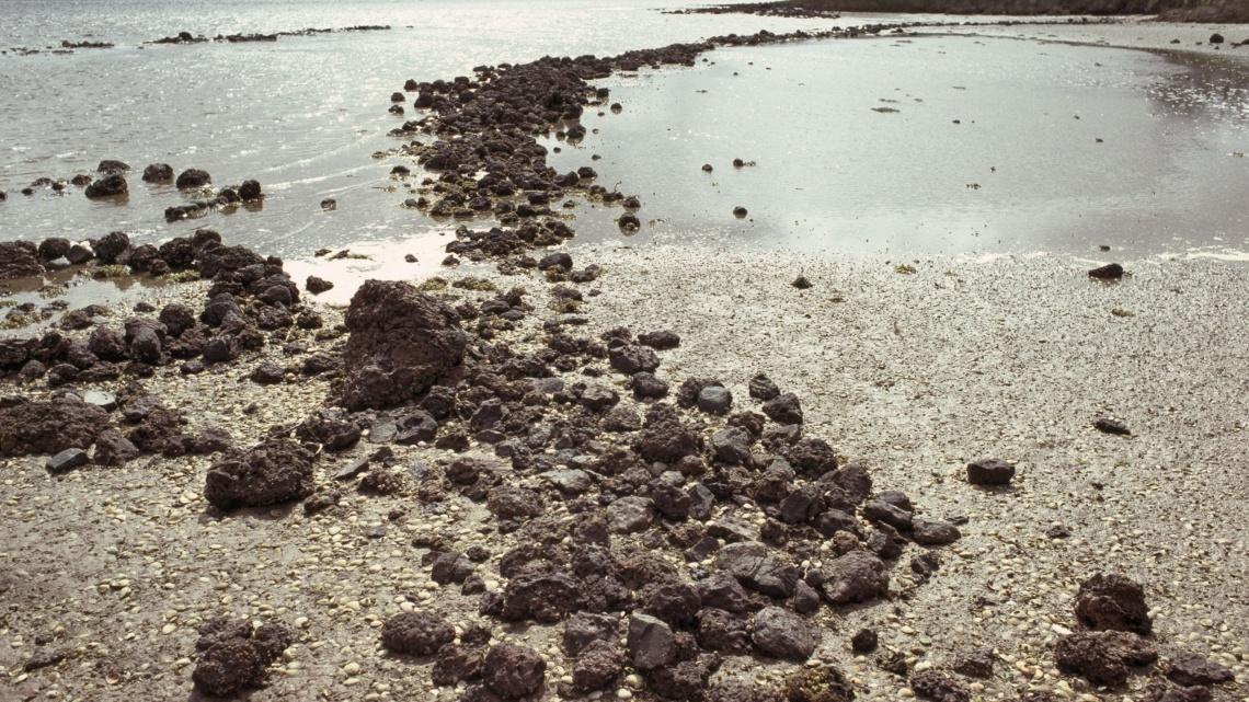 Aboriginal fish trap near Albany circa 1979