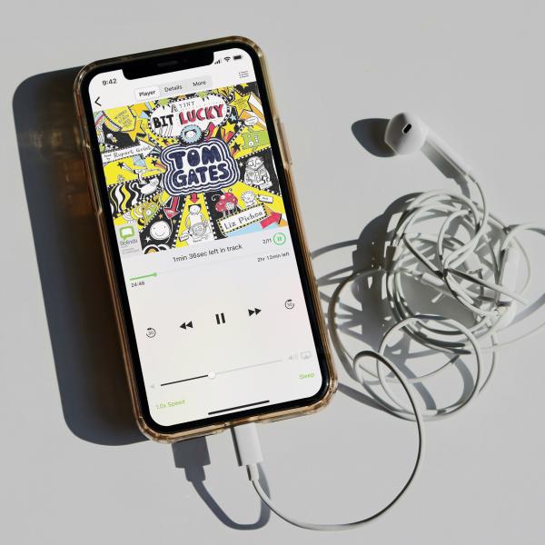 eAudiobook Borrow Box on smartphone