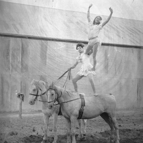 Performing on ponies Hylands Circus at Katanning 1907