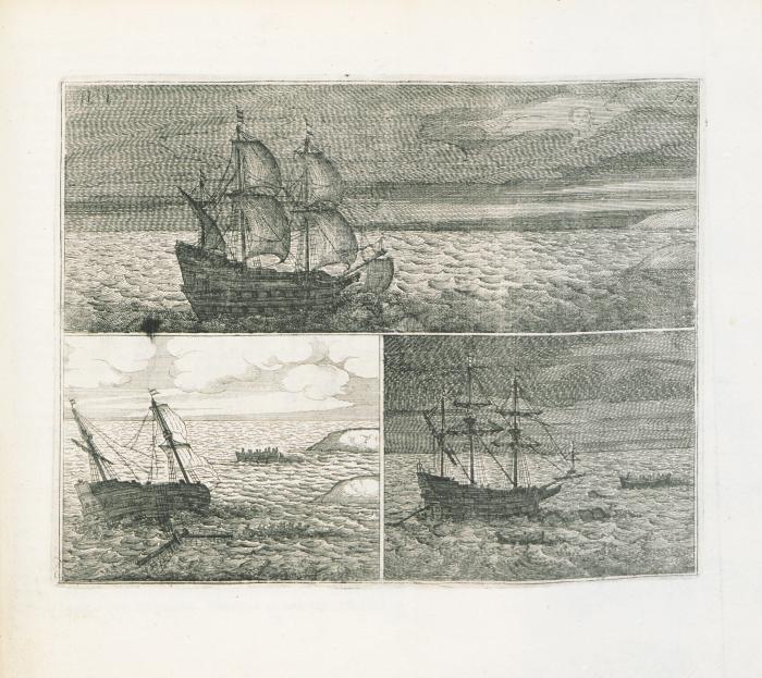 illustration from Pelsaerts journal