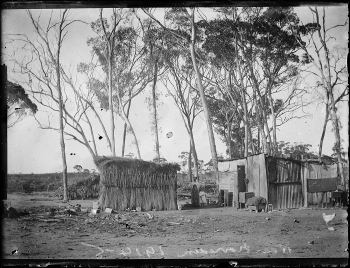 016791PDBush camp near Merredin 1914