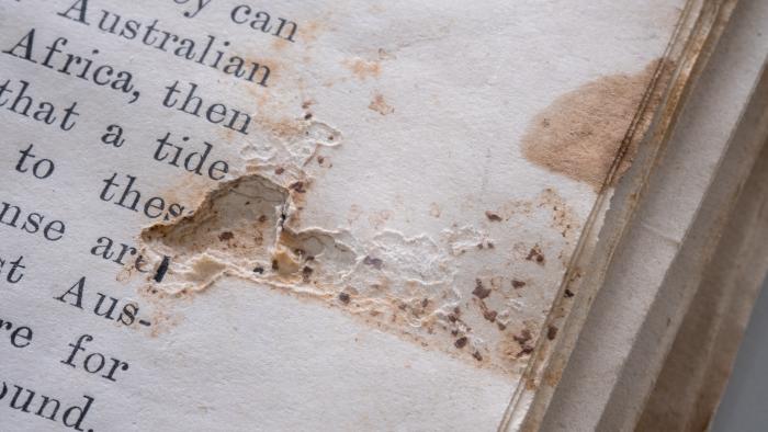 Silver fish pest damage to paper items received at the Library