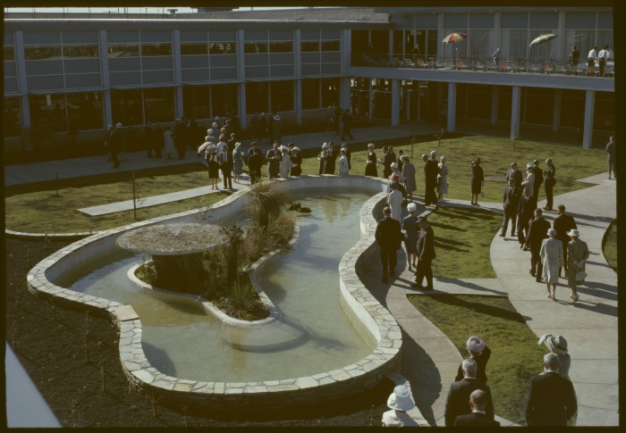 The pond outside Perth Airport terminal home to black swans 1962