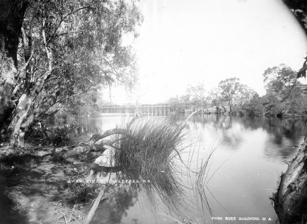 Swan River Guildford from the river bank