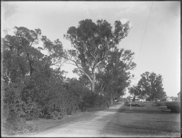Mandurah 1913