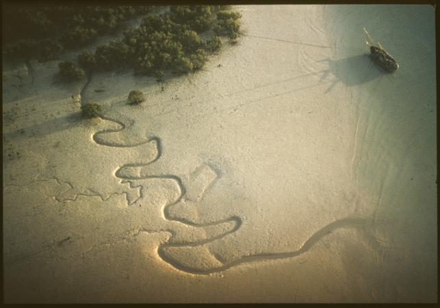 Pearling luggers at low tide in Broome 1962