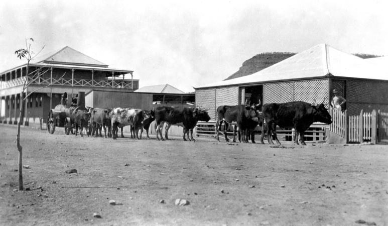Bullock team at Wyndham
