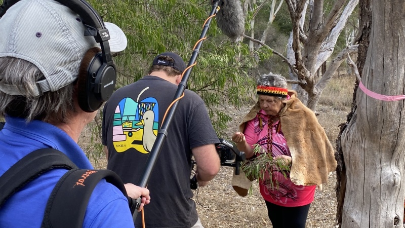 Whadjuk Elder Marie Taylor picks peppermint leaves for womens fire gathering at Walliabup Bibra Lake