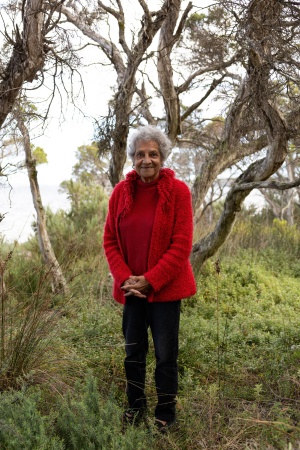 Vernice Gillies