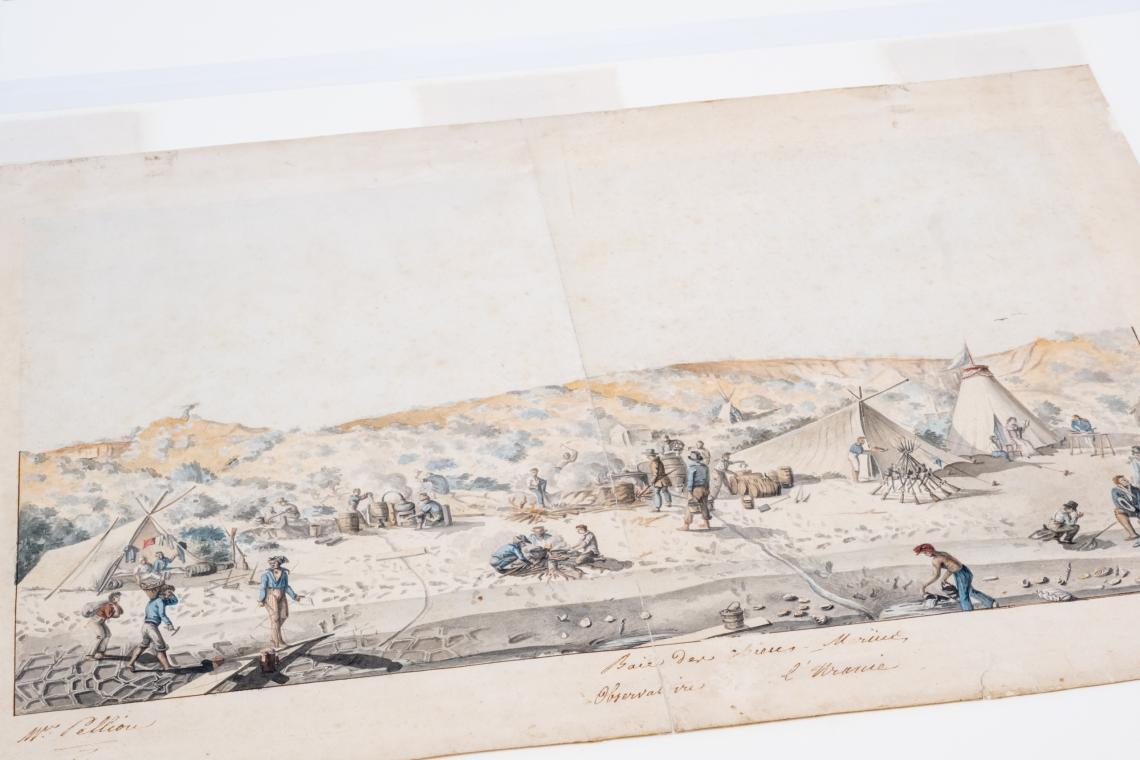 Watercolour and ink drawing of Shark Bay