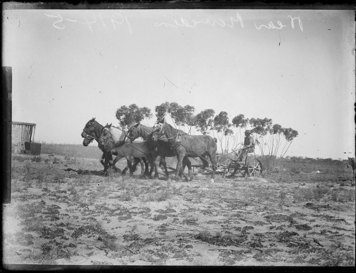 016787PD farm scene near Merredin and premises of C Hawker