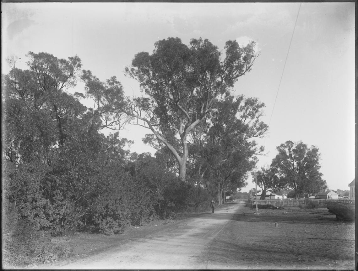 Mandurah 1913