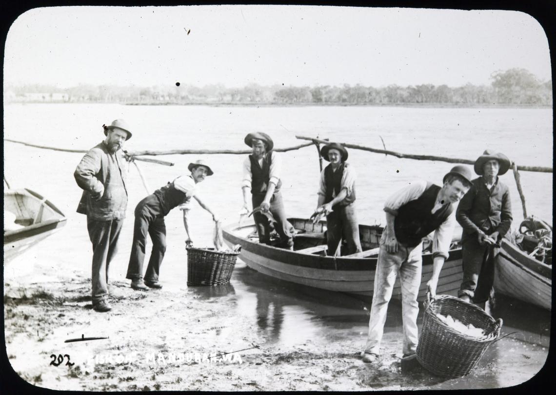 Fish of Mandurah 1890-1900