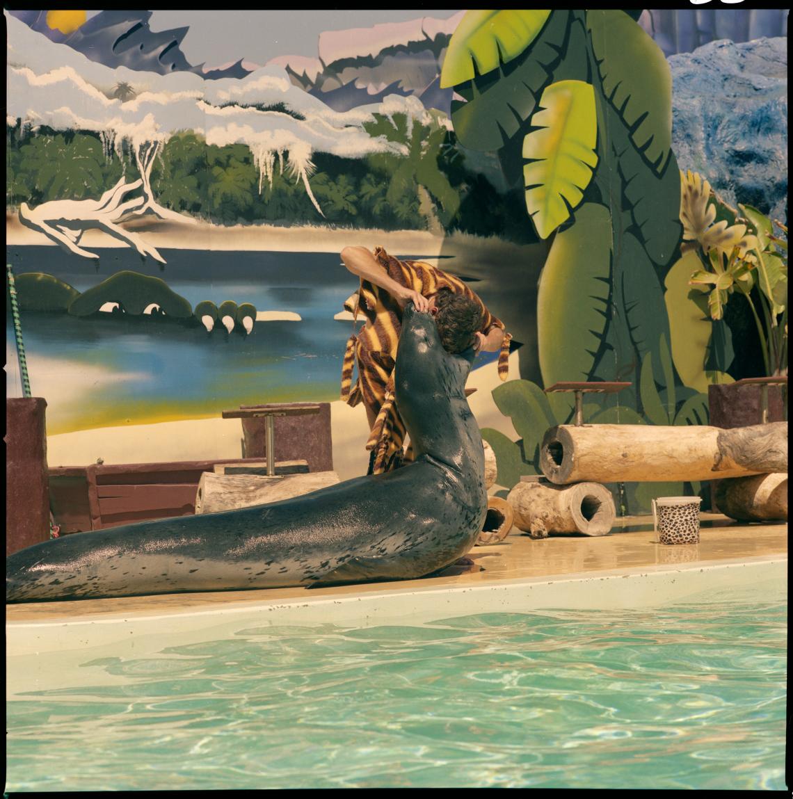 Performing seal at Atlantis Marine Park Two Rocks 1984