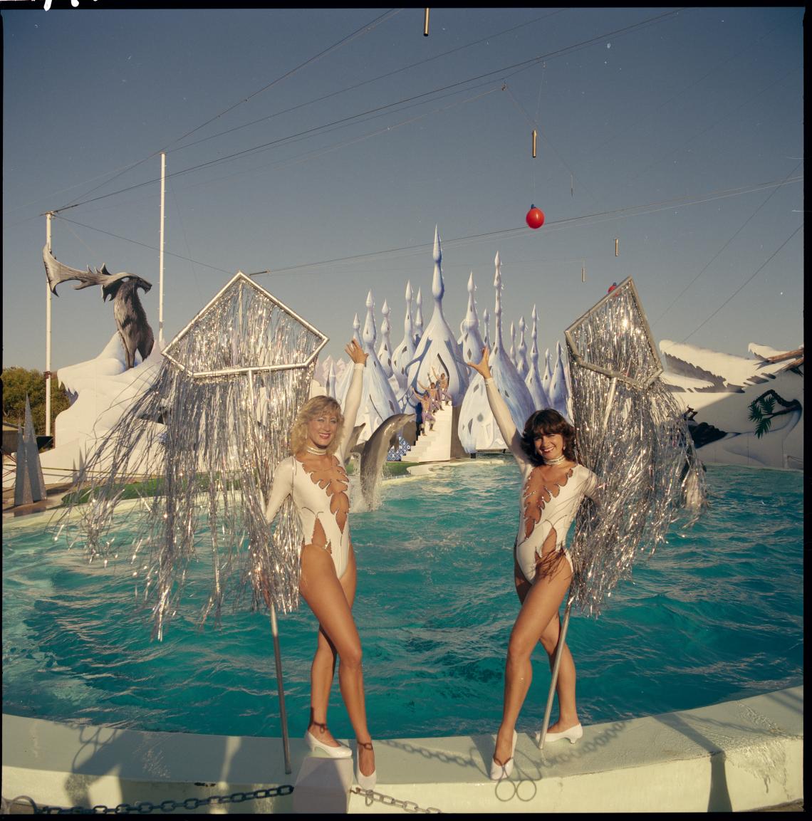 The dolphin show at Atlantis Marine Park Two Rocks 21 December 1984