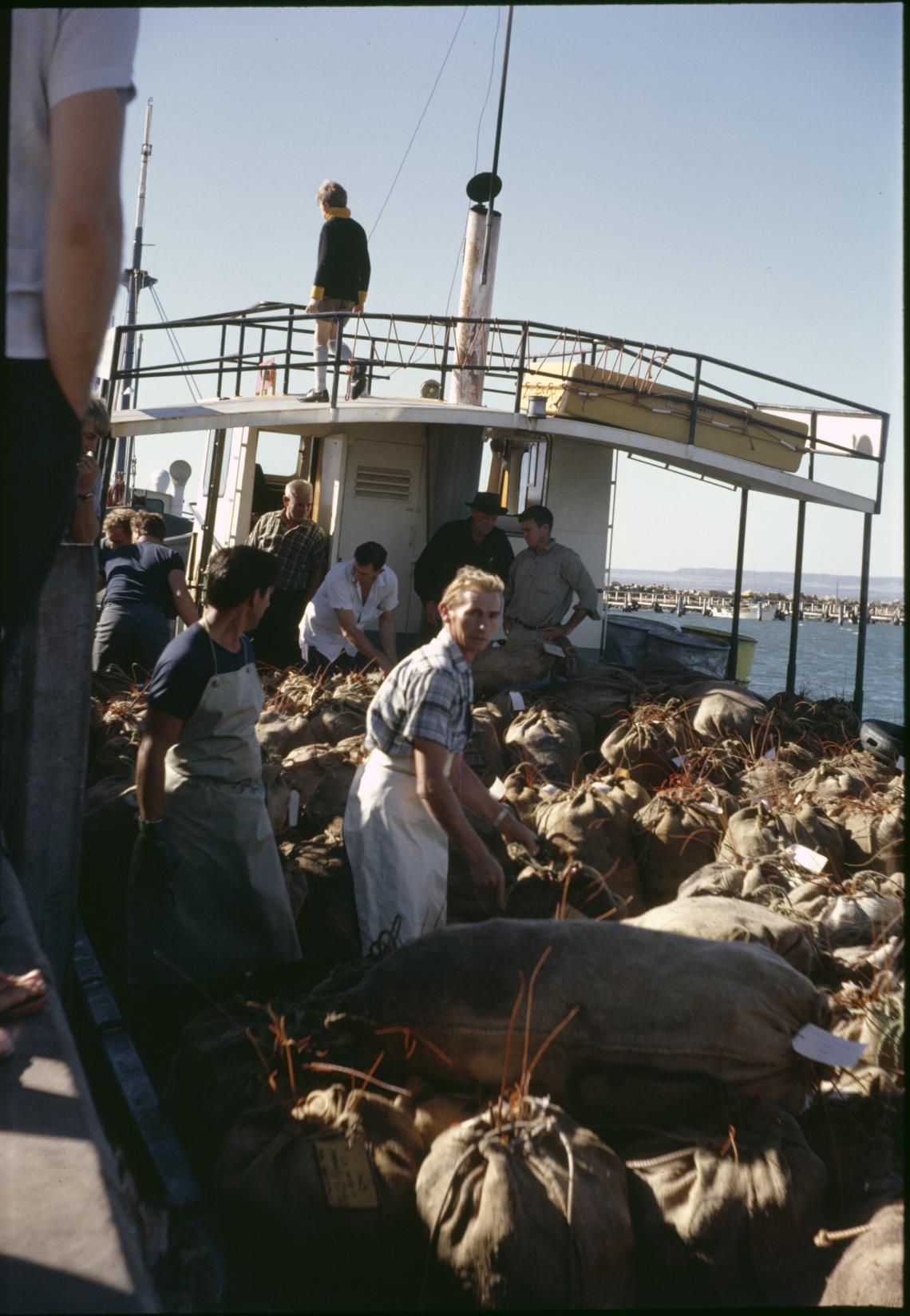 Cray boat arrives from the Abrolhos 21468