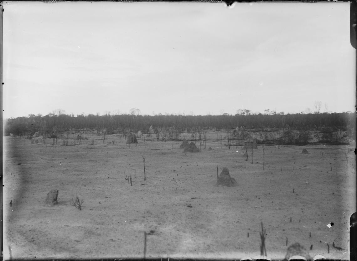 Termite nests white ant hills on the Wongan Hills Mullewa Road 1920