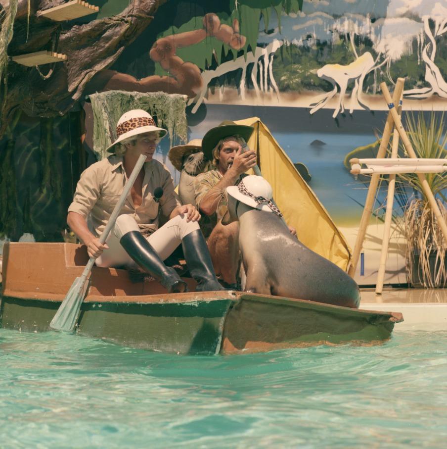 Performing seals at Atlantis Marine Park Two Rocks 31 January 1984