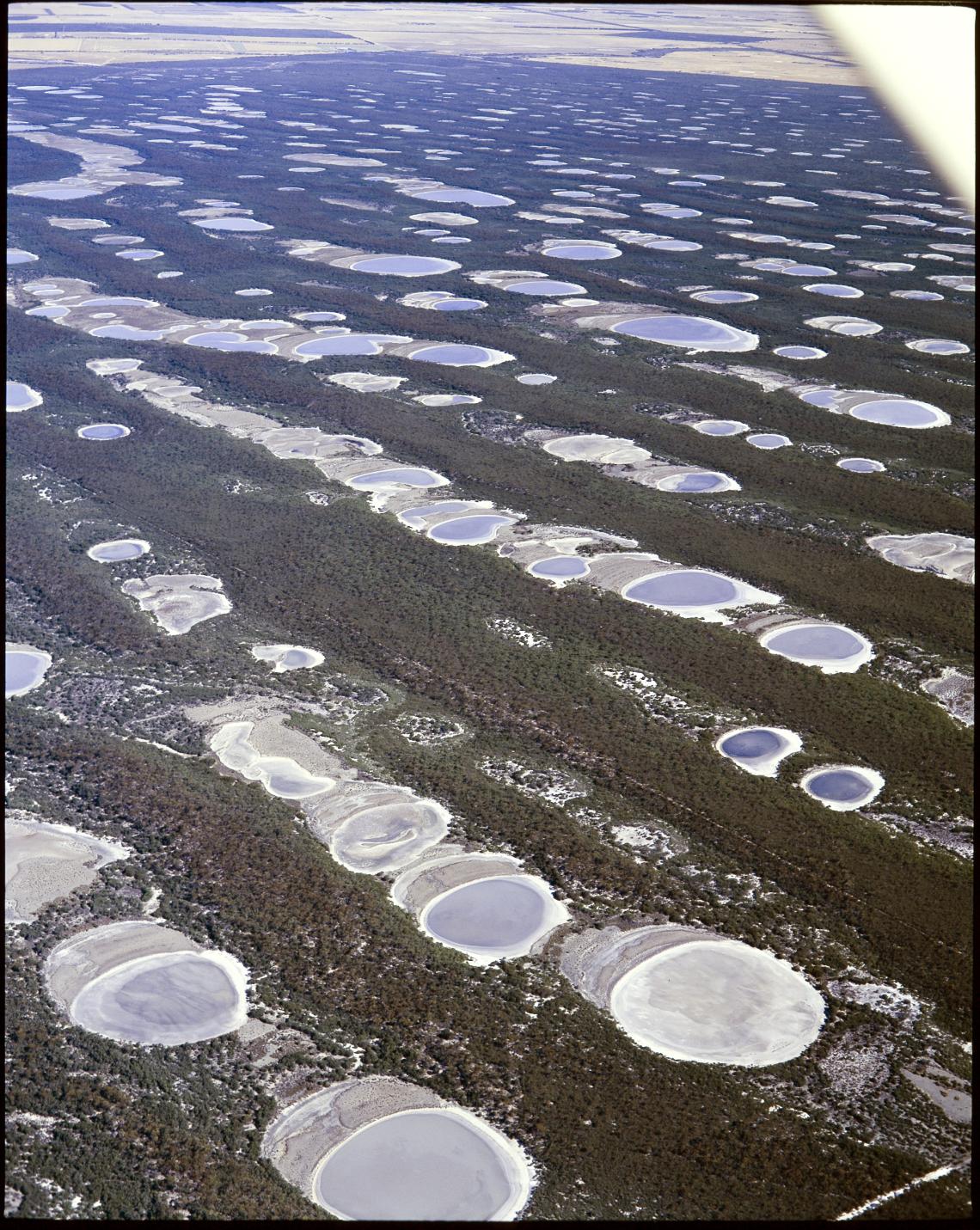 salt lakes near Esperance