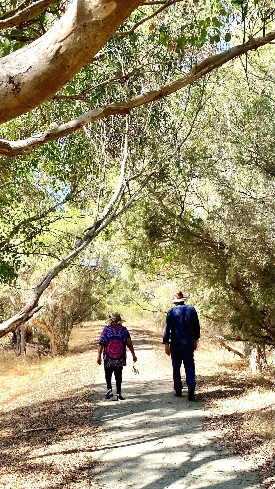 Marie Taylor Elder in Residence The Wetland Centre walks with Professor Stephen Hopper UWA at Walliabup Bibra Lake
